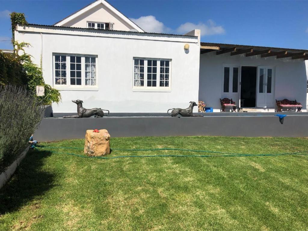 De La Fontaine Guest Cottage And Pool View Luxury Suite Plettenberg Bay Esterno foto